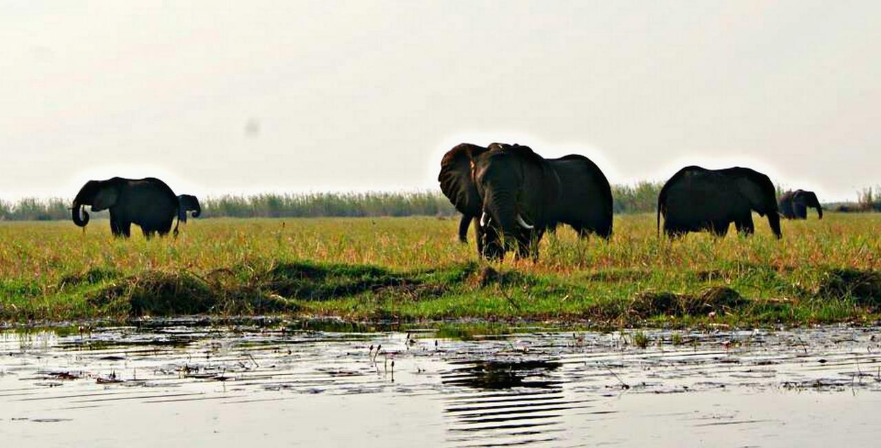 Kwalape Safari Lodge Kasane Εξωτερικό φωτογραφία