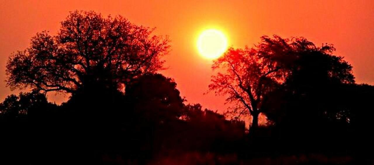 Kwalape Safari Lodge Kasane Εξωτερικό φωτογραφία